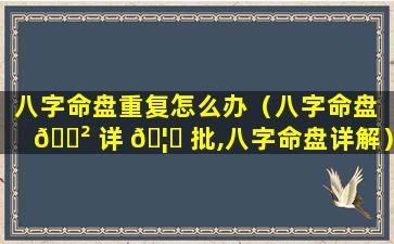 八字命盘重复怎么办（八字命盘 🌲 详 🦟 批,八字命盘详解）